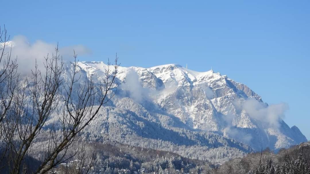 Sinaia Alpineview Residence 外观 照片