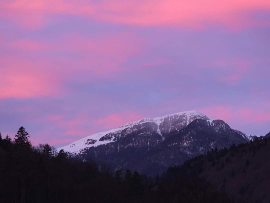 Sinaia Alpineview Residence 外观 照片