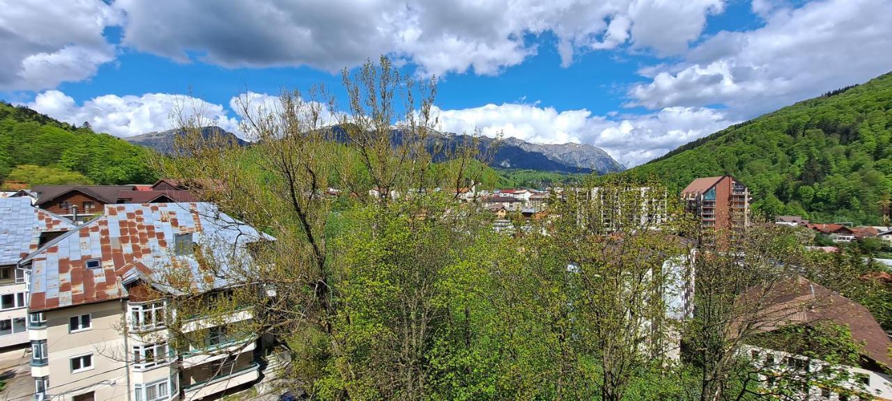 Sinaia Alpineview Residence 外观 照片