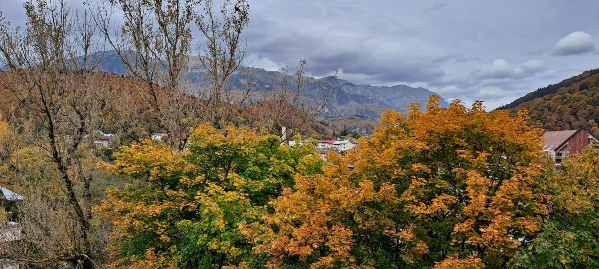 Sinaia Alpineview Residence 外观 照片
